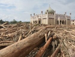 Kemenhut Larang Penggunaan dan Pengiriman Kayu Bulat di Sumatra