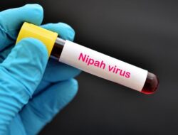 Kasus Virus Nipah di Indonesia dan Gejala yang Perlu Diwaspadai