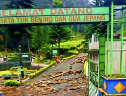 FOTO: Wisata Kebun Teh Kaligua Brebes Dipenuhi Gelondongan Kayu Terbawa Banjir Bandang