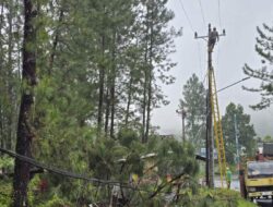Gerak Cepat PLN Tangani Gangguan Listrik Akibat Cuaca Ekstrem di Guci Tegal dan Sekitarnya