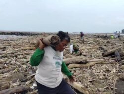 Pantai Larangan Tegal Dipenuhi Kayu Gelondongan yang Terbawa Banjir Bandang Wisata Guci