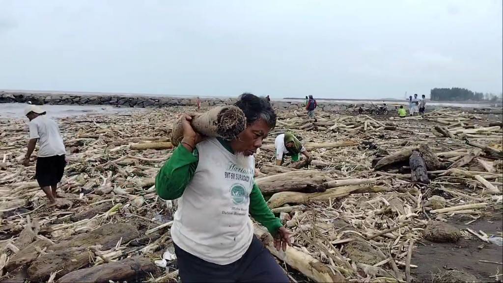 Kayu Gelondongan Banjir Guci