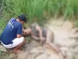 Pria Ditemukan Tak Berdaya di Persawahan Losari Brebes, Kaki dan Tangan Terikat Tali