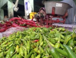 Harga Bawang Merah dan Cabai Melonjak di Pasar Induk Kramat Jati Saat Awal Ramadhan 2026