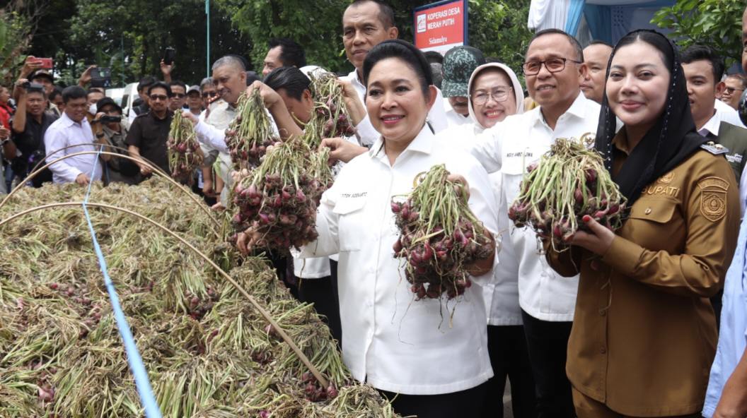 Titiek Soeharto Tinjau Bawang Merah Brebes