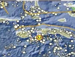 Gempa Maluku Utara Hari Ini, Informasi BMKG Kekuatan dan Lokasi