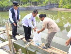 Perkuat Ketahanan Pangan, Pemkab Brebes Salurkan Bantuan Ratusan Ribu Benih Kakap Putih