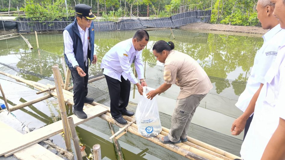 Wakil Bupati Brebes Tabur Benih Kakap