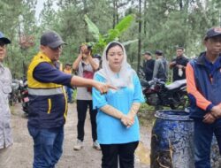 Bupati Paramitha Tinjau Jembatan Kalibuntu Brebes yang Ambruk, Penanganan Dipercepat