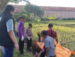 Warga Losari Brebes Geger Penemuan Mayat Tanpa Identitas di Saluran Irigasi