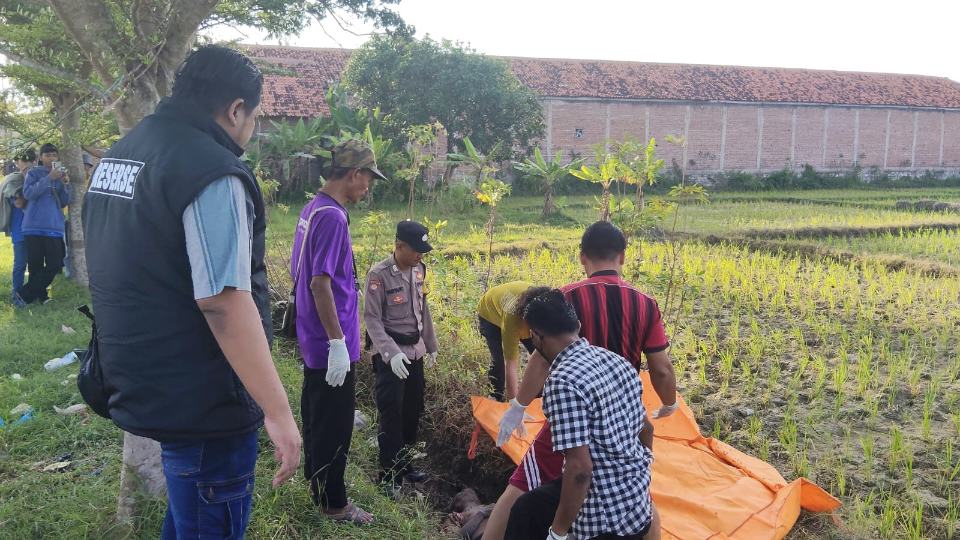 Penemuan Mayat Tanpa Identitas di Losari Brebes