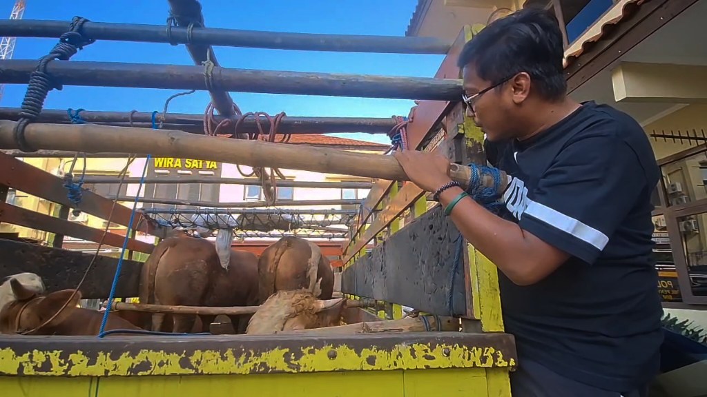 Pencurian Sapi di Brebes