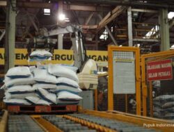 Pupuk Indonesia Ekspor Urea ke Australia, Total 500.000 Ton