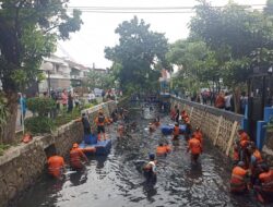 Asal Usul Ikan Sapu-Sapu di Sungai Jakarta Muncul dari Tren Ikan Hias