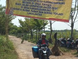 Warga Losari Brebes Pasang Spanduk Protes dan Tanam Pohon Pisang di Jalan Rusak Parah