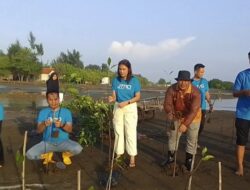 Abrasi Rusak Ribuan Hektare Tambak di Randusanga Brebes, BPJS Ketenagakerjaan Tanam Mangrove