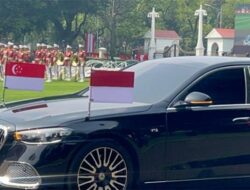 Daftar Delegasi Indonesia-Singapura di Pertemuan Prabowo dan PM Lawrence Wong
