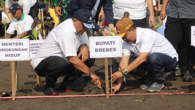 Penanganan Abrasi Brebes