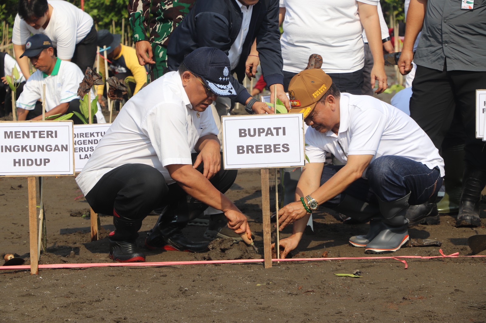 Penanganan Abrasi Brebes