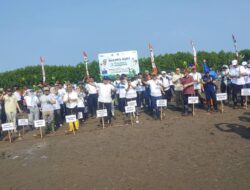 Tangani Abrasi Pantura, Menteri LH Siapkan Regulasi ‘Water Farming’ dan Pemulihan Mangrove