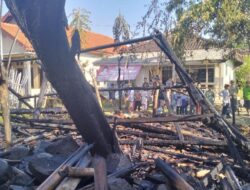 25 Ekor Kambing Mati Terpanggang saat Kandang Terbakar di Jagalempeni Brebes