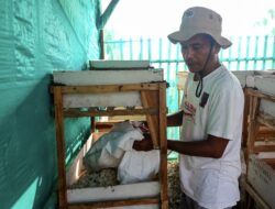 Manfaatkan Sampah MBG untuk Budidaya Maggot, Bisa Hasilkan 3 Kwintal Maggot