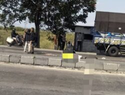 Pengendara Motor Tewas Terlindas Bus di Jalur Pantura Brebes