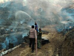Kebakaran Hutan Pinus di Paguyangan Berhasil Dipadamkan, Tiga Pohon Hangus Terbakar