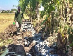 Pembangunan Jaringan Irigasi Tersier Rp 195 Juta di Slatri Brebes Diduga Tak Sesuai Spesifikasi