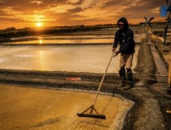 Harga Garam di Brebes Anjlok Jadi Rp 700 per Kg, Petani Sebut Harga Tak Wajar