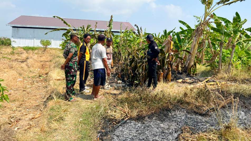 Motor Terbakar