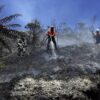 Kebakaran Hutan di Gunung Bromo Berlangsung 10 Hari, Api Belum Padam
