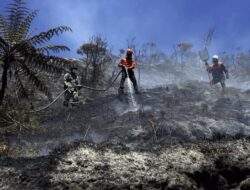 Kebakaran Hutan di Gunung Bromo Berlangsung 10 Hari, Api Belum Padam