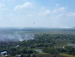 Ribuan Hektar Hutan Kalimantan Terbakar, Kabut Asap Ancam Kesehatan Warga