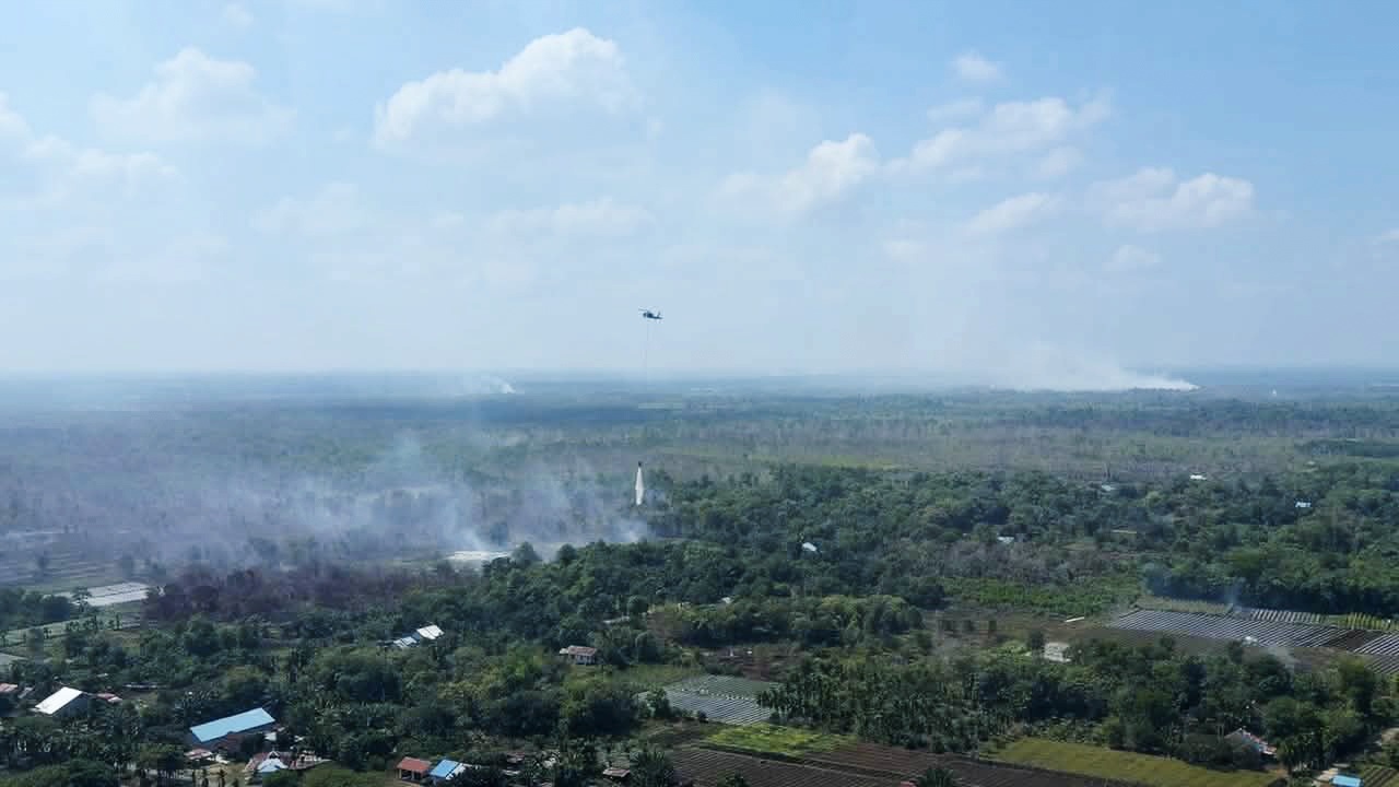 Kebakaran Hutan Kalimantan