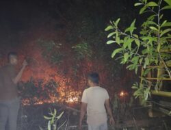 Selain Kalimantan, Karhutla Juga Terjadi di Lampung Timur dan Maluku Utara