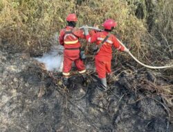 19 Perusahaan Terseret Kasus Karhutla, KLH Ungkap Potensi Kerugian Rp5,3 Triliun