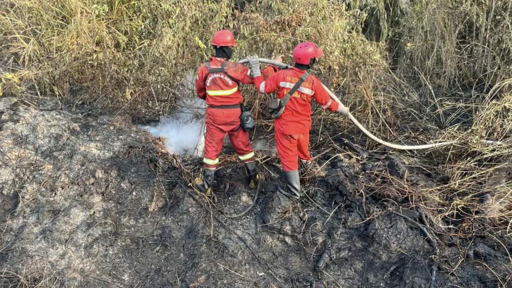 Penanganan kebakaran hutan dan lahan di sejumlah wilayah Indonesia
