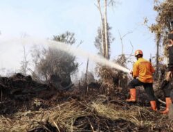 Hampir 1.900 Hektare Terbakar, Satgas Karhutla Jambi Perkuat Operasi Darat dan Udara