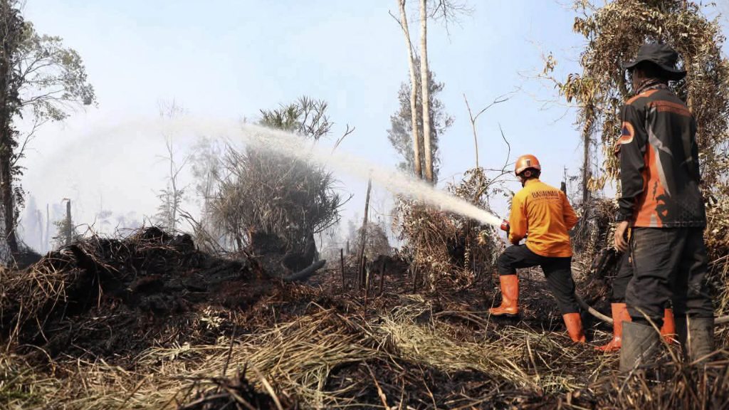 Satgas gabungan menangani karhutla di lahan gambut Provinsi Jambi