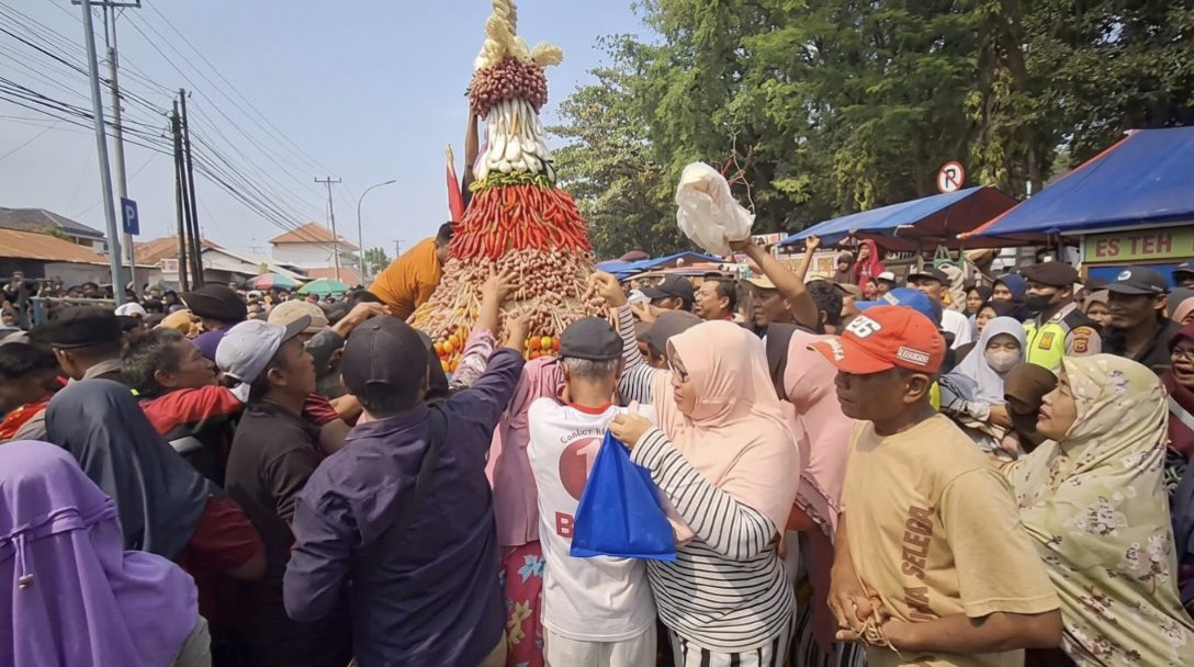 Ribuan warga berebut gunungan bawang merah dalam Festival Bawang Merah Brebes