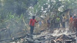 Kebakaran lahan merambat ke kandang kambing warga di Kutamendala Tonjong Brebes