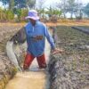 Irigasi Kering Kerontang, Petani Bawang Brebes Terpaksa Bor Sumur demi Selamatkan Tanaman