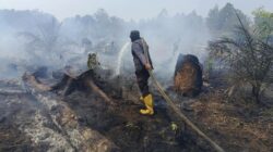Petugas memadamkan kebakaran hutan dan lahan
