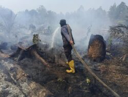 Karhutla Kembali Terjadi di Sejumlah Daerah, 48 Hektare Lahan Terbakar