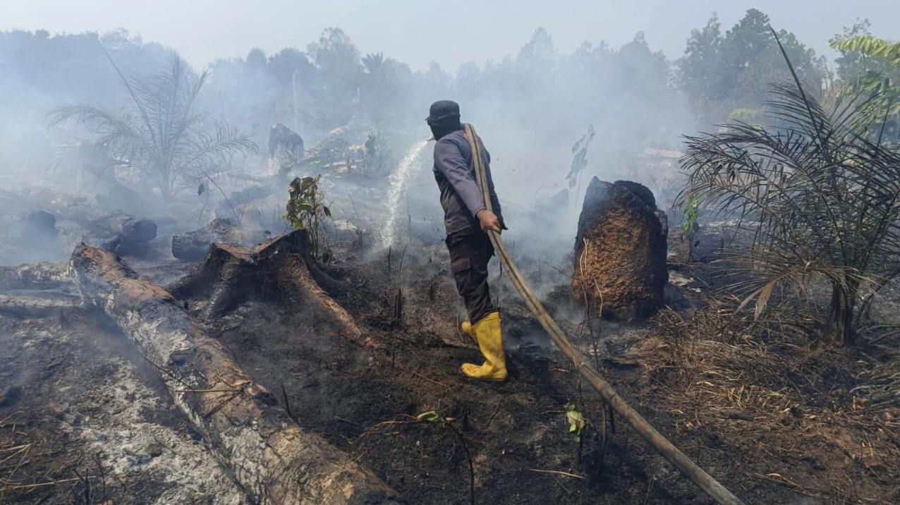 Petugas memadamkan kebakaran hutan dan lahan