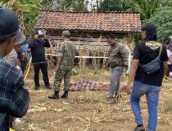 Lansia 83 Tahun Tewas Penuh Luka di Kebun Brebes, Anak Kandung Diamankan