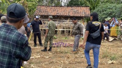 Lokasi kebun di Bantarkawung, Brebes, tempat lansia ditemukan meninggal dunia.