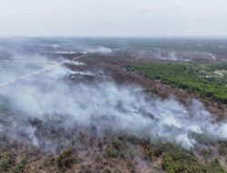 Karhutla Landa 7 Provinsi, 123 Hektare Lahan Raja Ampat Terbakar, BNPB Ingatkan Bahaya Asap