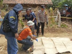 Perselisihan Kerbau dan Konflik Sepele Berujung Maut: Anak Tega Bacok Ayah Kandung di Brebes